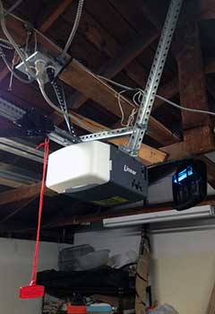 Garage Door Opener Replacement, Citrus